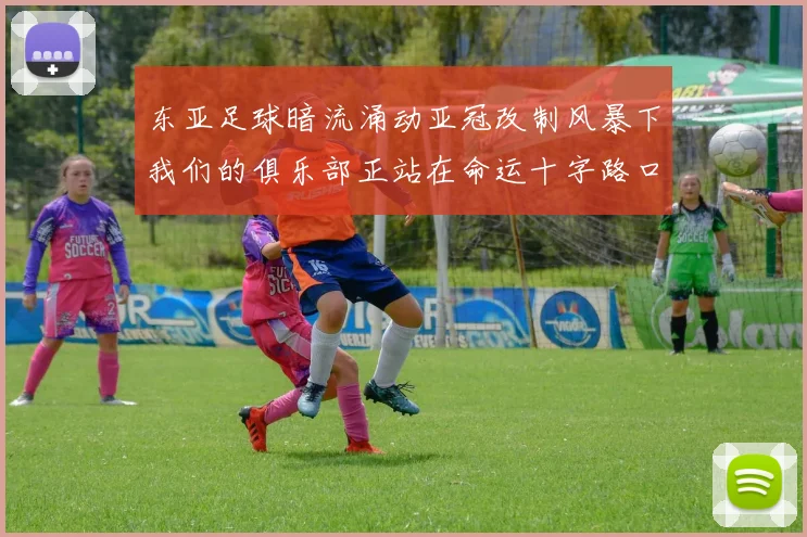 东亚足球暗流涌动亚冠改制风暴下我们的俱乐部正站在命运十字路口