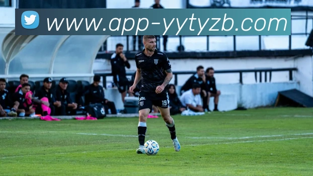 雨燕体育直播平台生态图