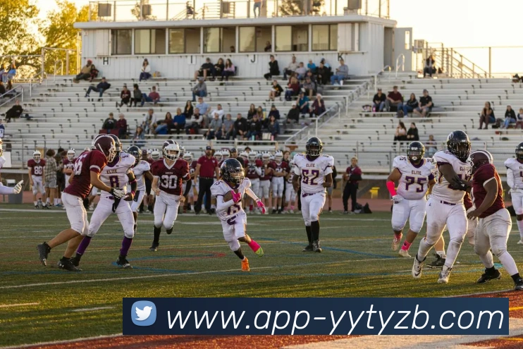 App Interface Preview