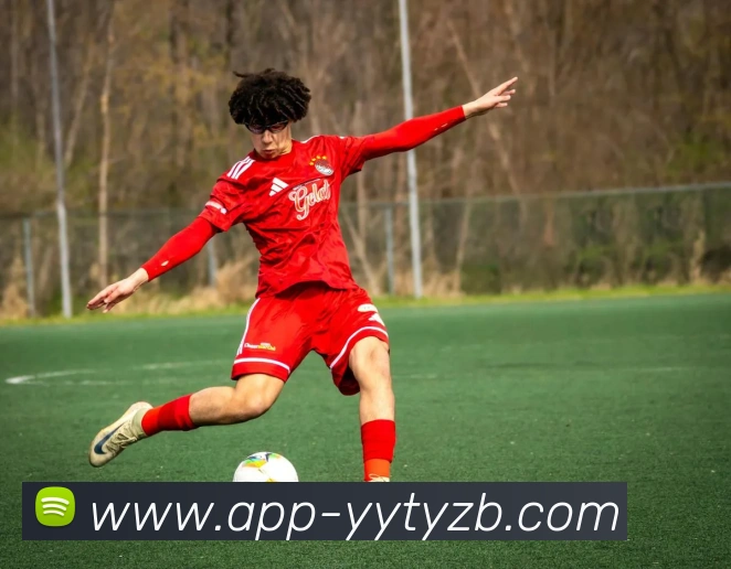 雨燕体育直播APP 封面图