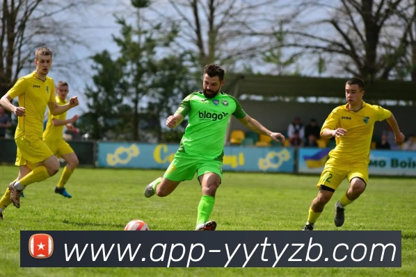 雨燕体育直播全站App